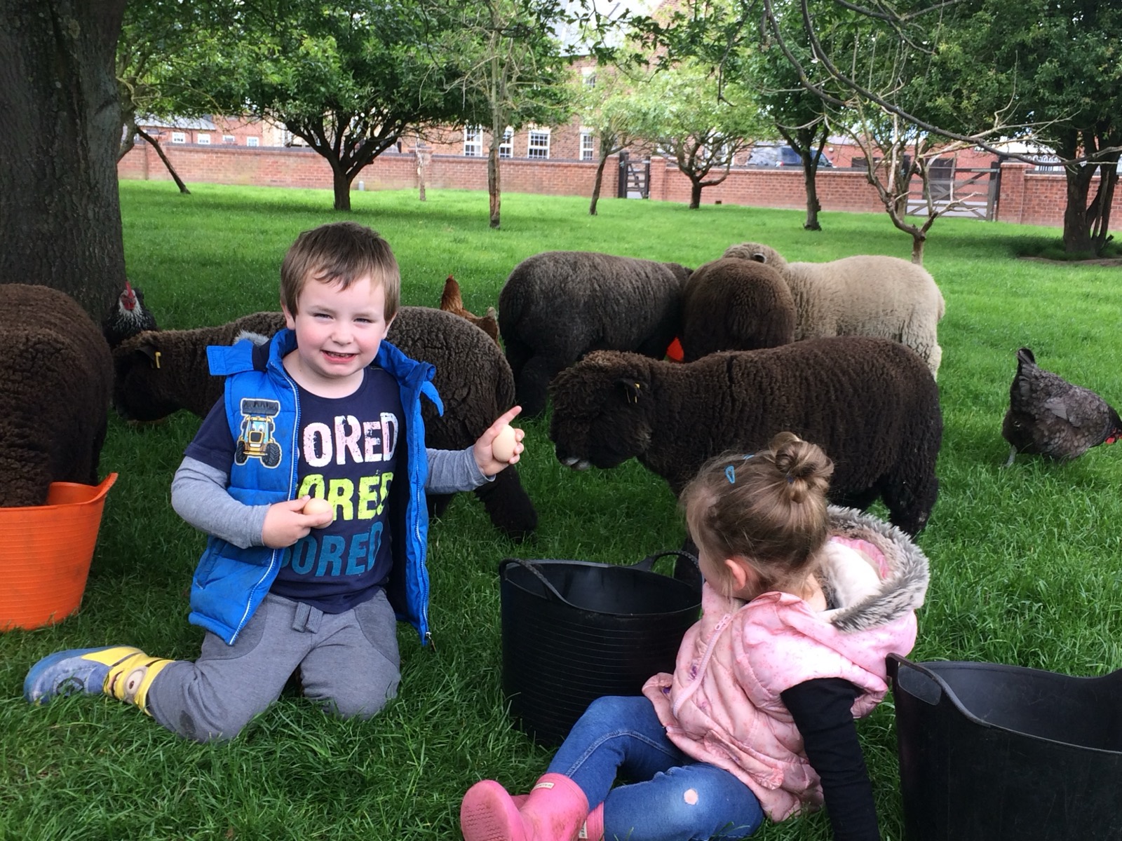 Ellie and Ethan sitting with the herd