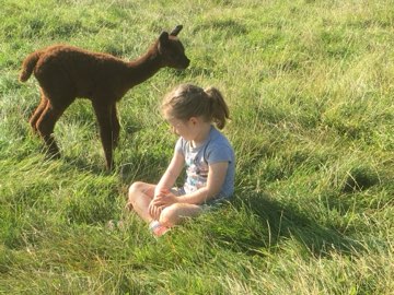 A cria and a young friend
